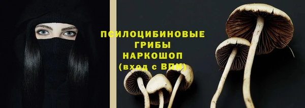 гашиш Абаза