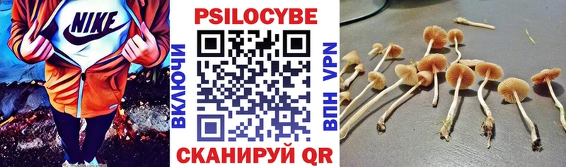 Псилоцибиновые грибы GOLDEN TEACHER  закладка  Искитим 