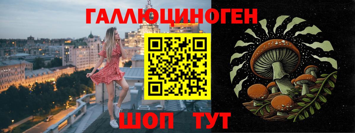 Искитим  Псилоцибиновые грибы Cubensis  Галлюциногенные грибы Magic Shrooms  Вход с VPN 