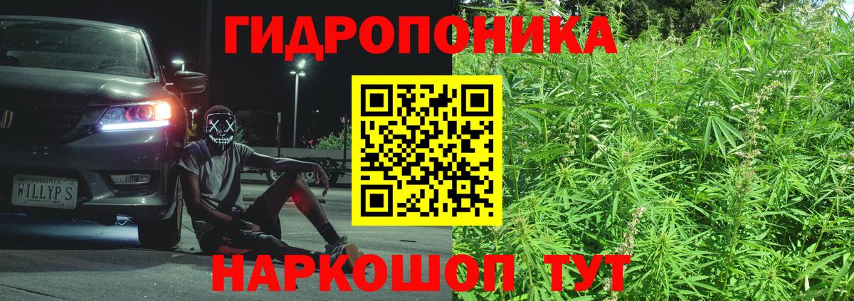 Канабис планчик Искитим